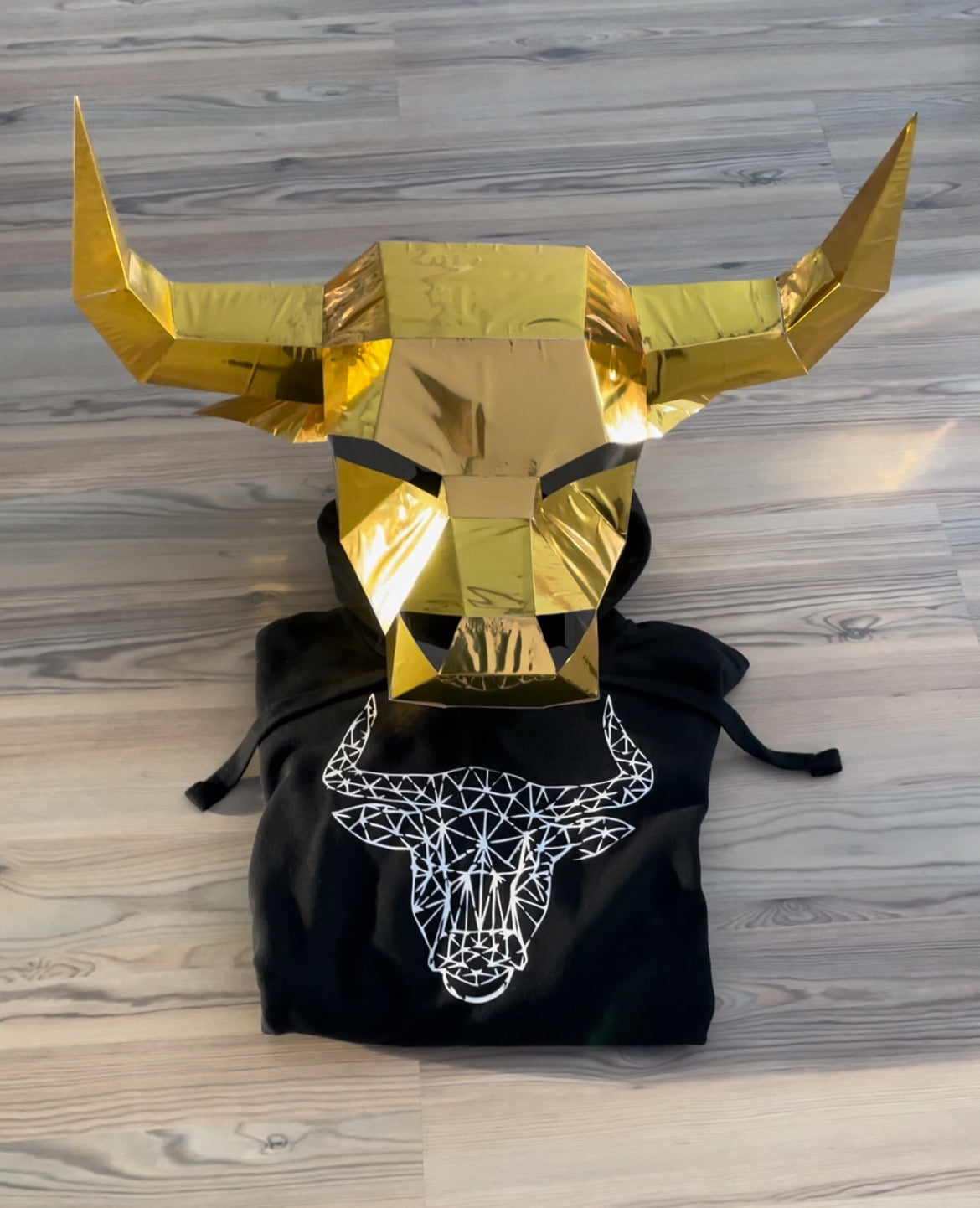 Taurus Bull T shirt and Hoodie