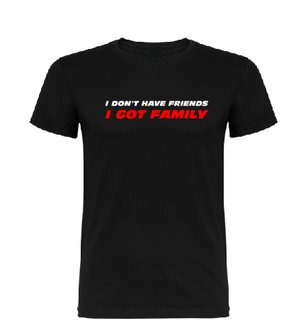 The Fast and The Furious inspired T shirt, I don't have Friends I got Family T shirt-men woman T shirts-DiamondsKT